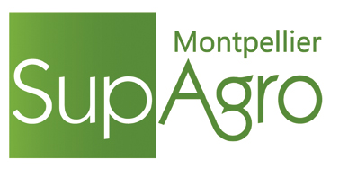 Les vignes expérimentales de Sup’Agro/INRA