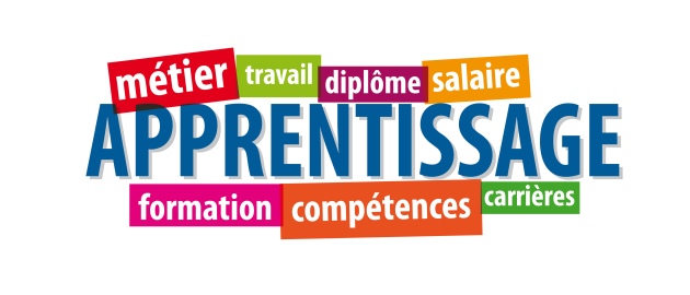Contrats d’Apprentissage et de Professionnalisation au sein du Master 2 CDV
