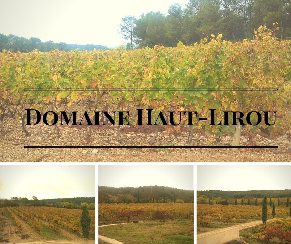 Visite Domaine Haut-Lirou avec Supagro