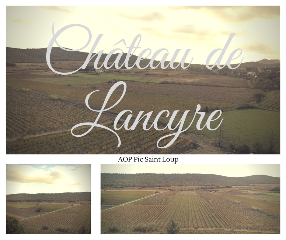 Visite du Chateau de Lancyre