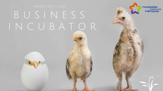Cap Oméga : l’incubateur d’entreprises innovantes !