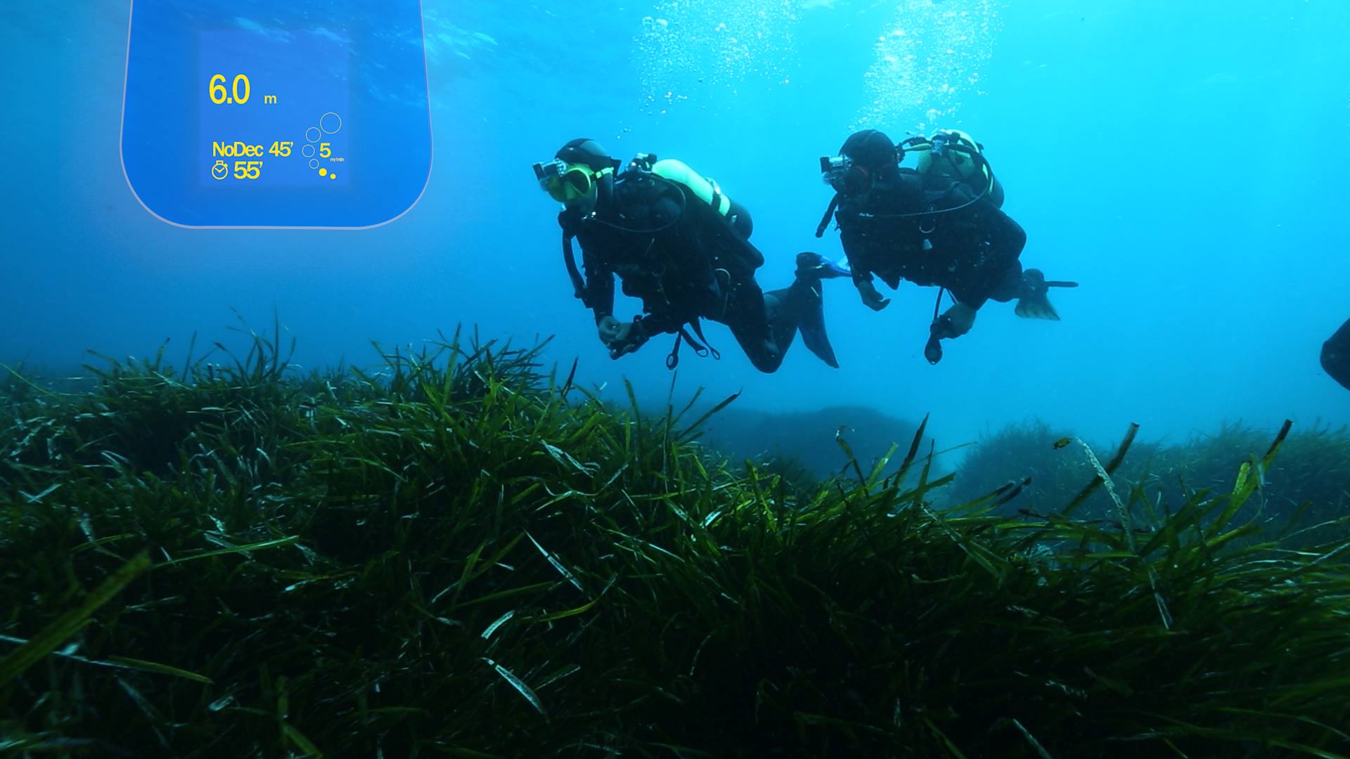 Thalatoo : la start-up montpelliéraine prête à se jeter à l’eau sur Indiegogo !