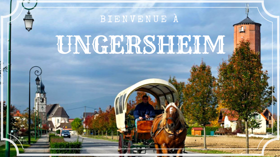 Ungersheim_calèche_France