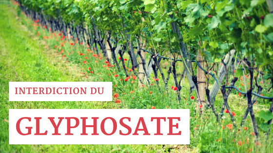 Interdiction du Glyphosate – Un Paradoxe?