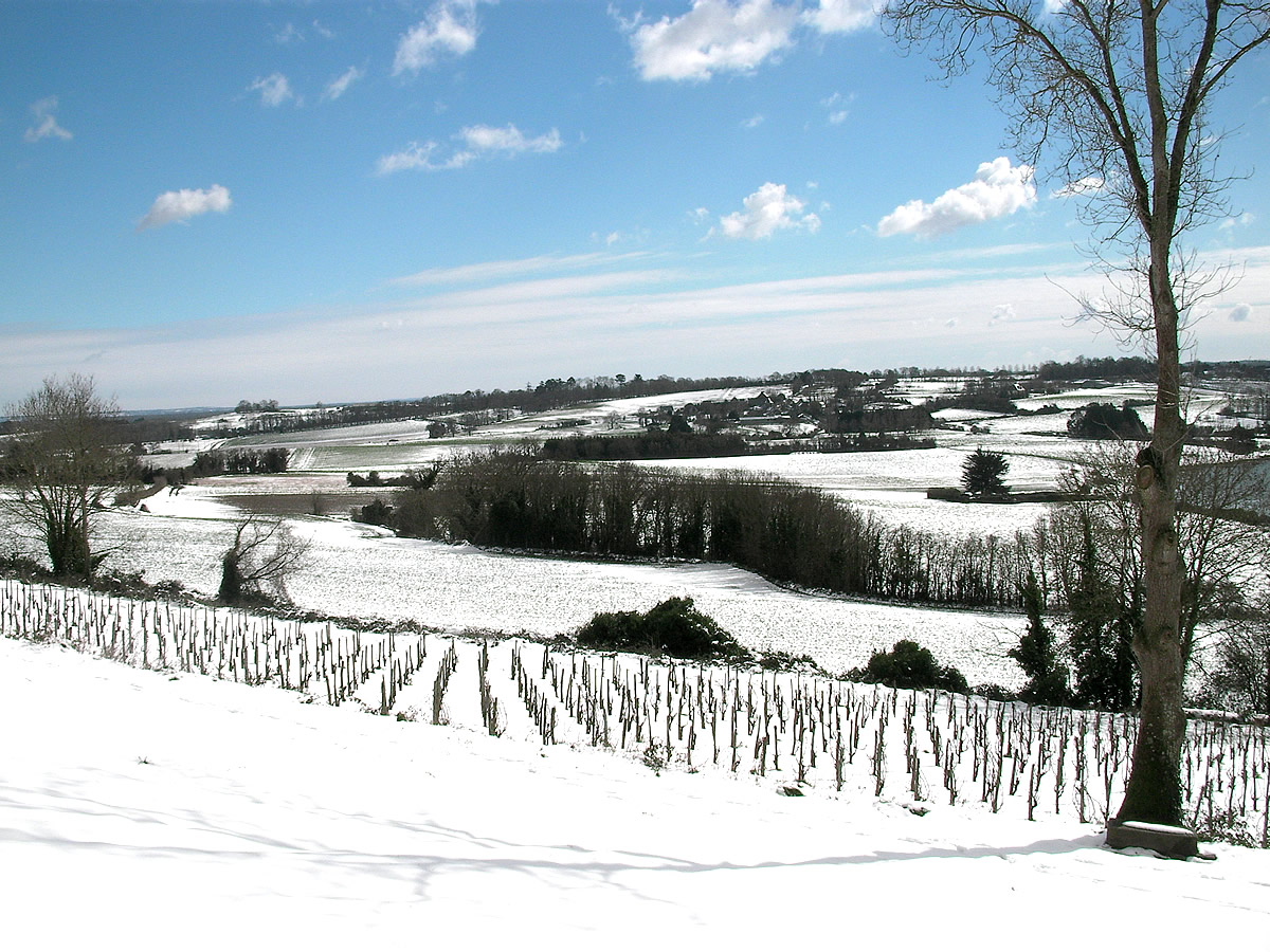 Et non ! Les bretons ne font pas que du cidre et du chouchen…