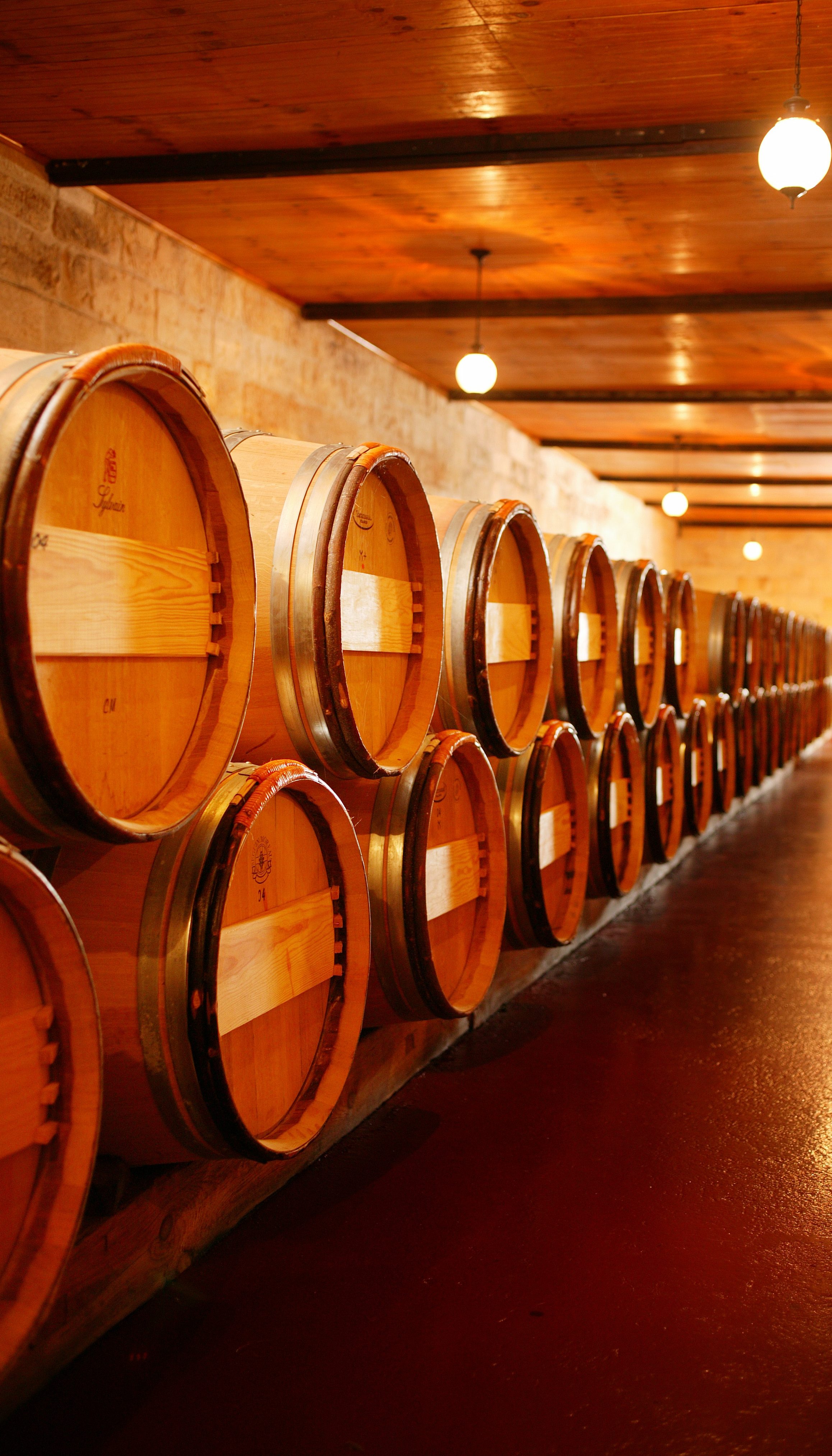 Comment conserve-t-on le vin aujourd’hui?
