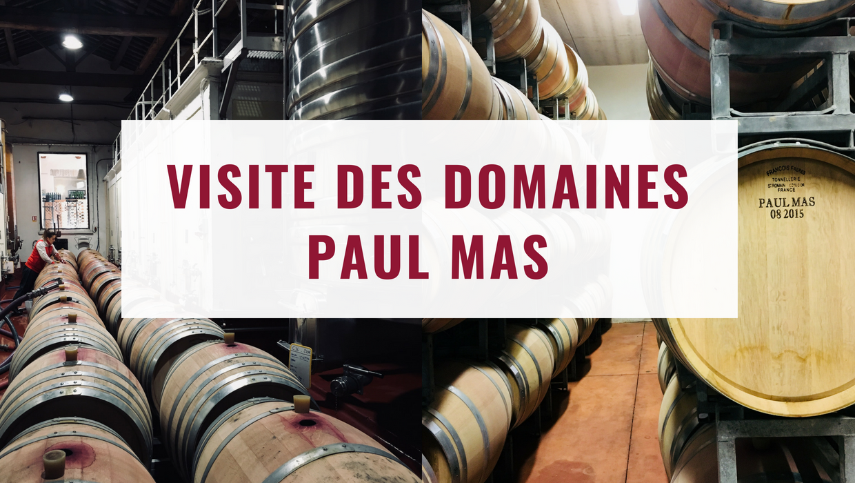 Visite des Domaines Paul Mas