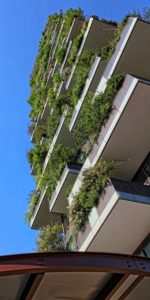 article-blog-ecoquartier-ville-ecologique-mit