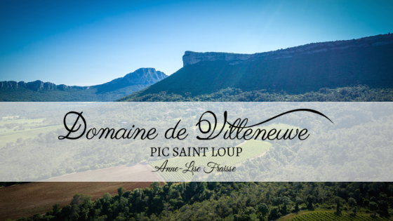 Développement d’une stratégie de marketing digital et e-commerce au Domaine de Villeneuve en du Pic Saint Loup