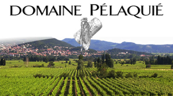 Développement de la stratégie marketing au Domaine Pélaquié