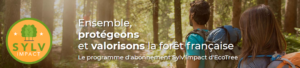 article-de-blog-arbres-cadeau-noel