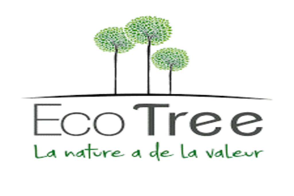 Des arbres comme cadeau de Noël