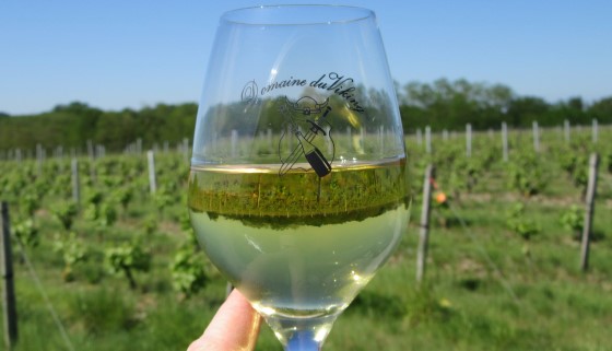 L’export pour un petit domaine viticole