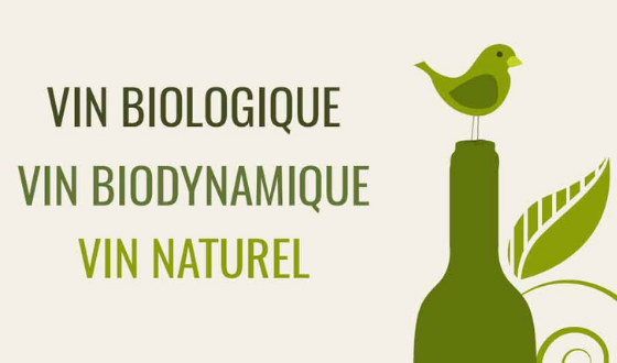 Vin Biologique, Vin Biodynamique, Vin Naturel : quelles différences ?