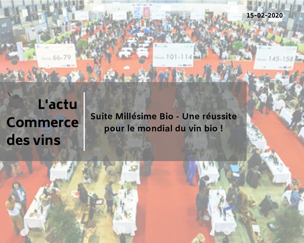 Suite Millésime Bio – Une réussite pour le mondial du vin bio !