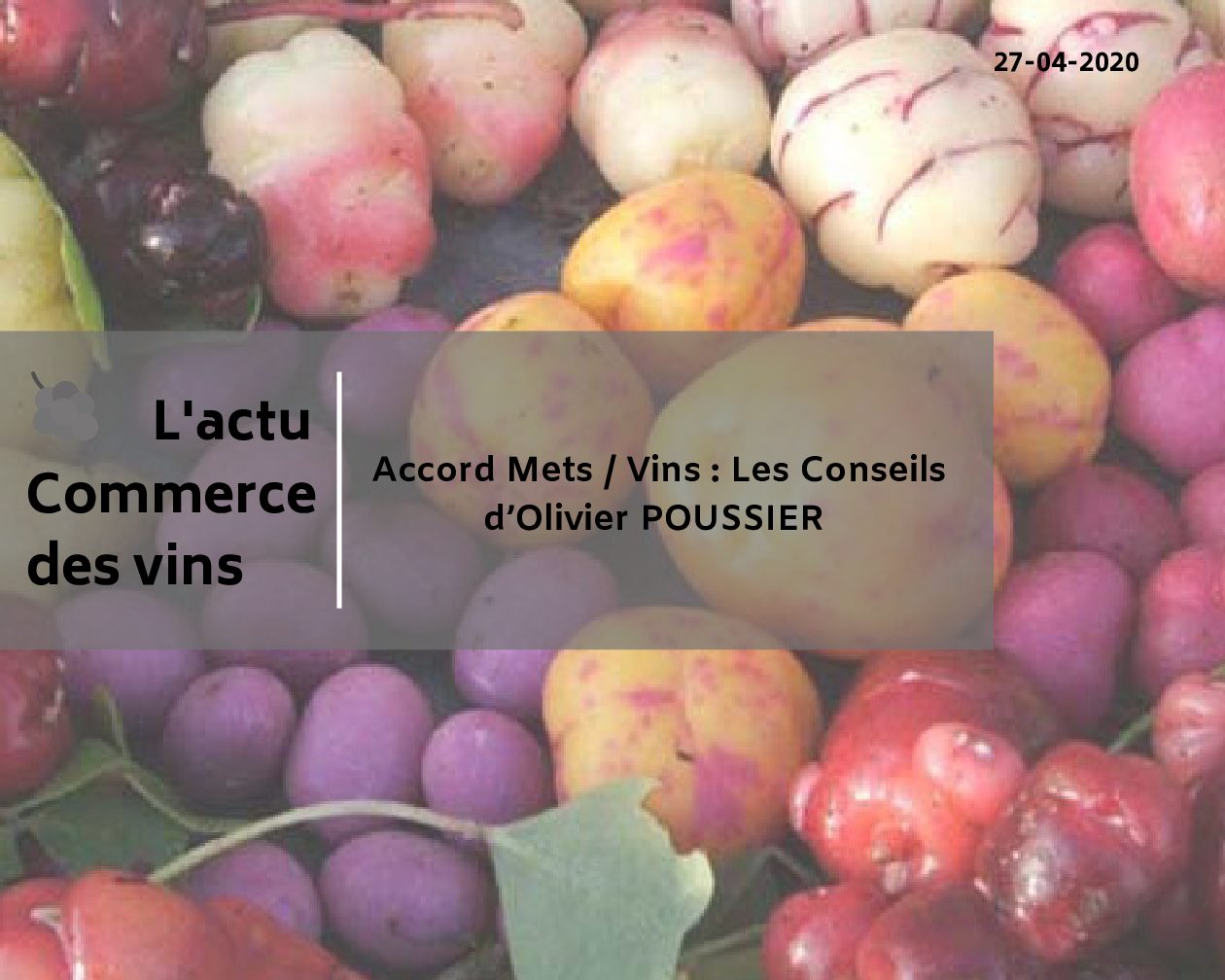 Accord Mets / Vins : Les Conseils d’Olivier POUSSIER
