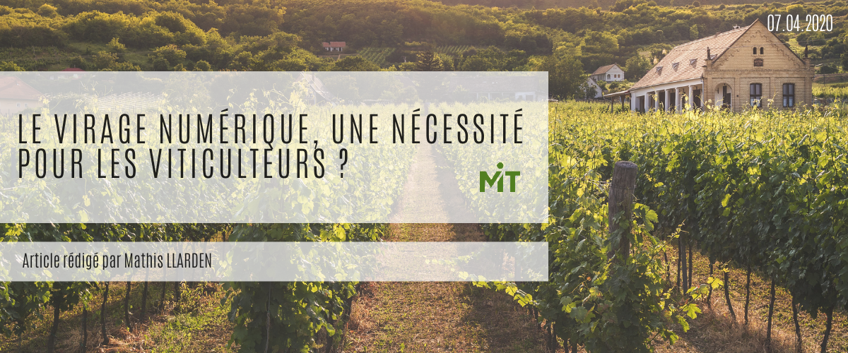 Le virage numérique, une nécessité pour les viticulteurs ?