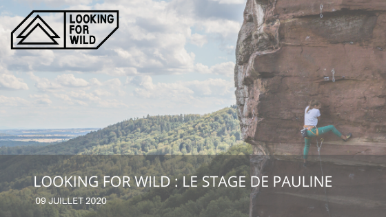 Looking For Wild : le stage de Pauline