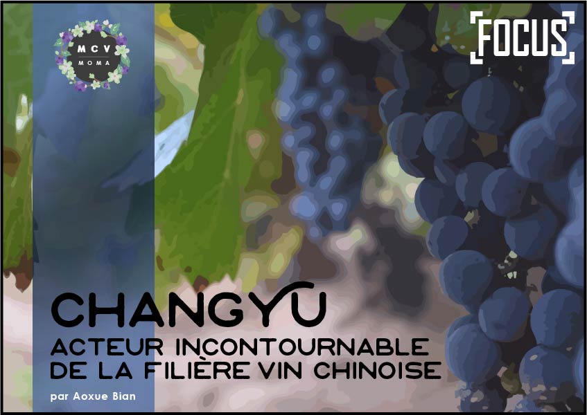 Changyu, acteur principal de la filière viti-vinicole en Chine