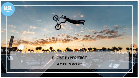 E-FISE Expérience