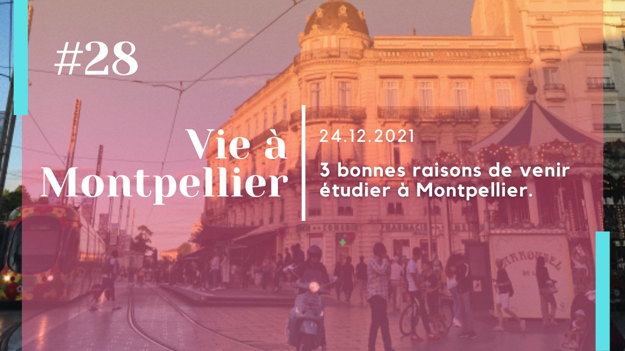 3 bonnes raisons de venir étudier à Montpellier.