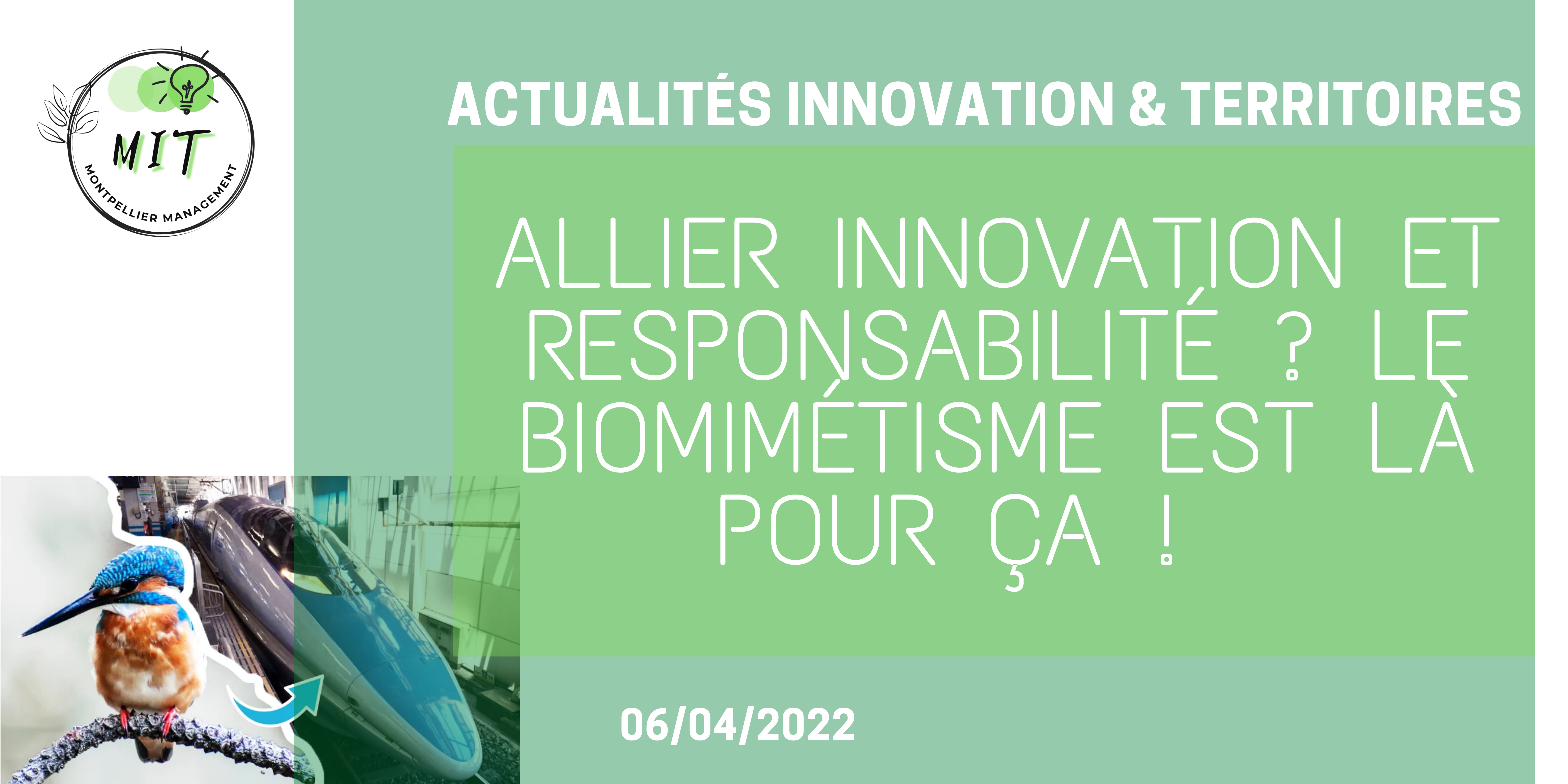 Allier innovation et responsabilité ? Le biomimétisme est là pour ça !