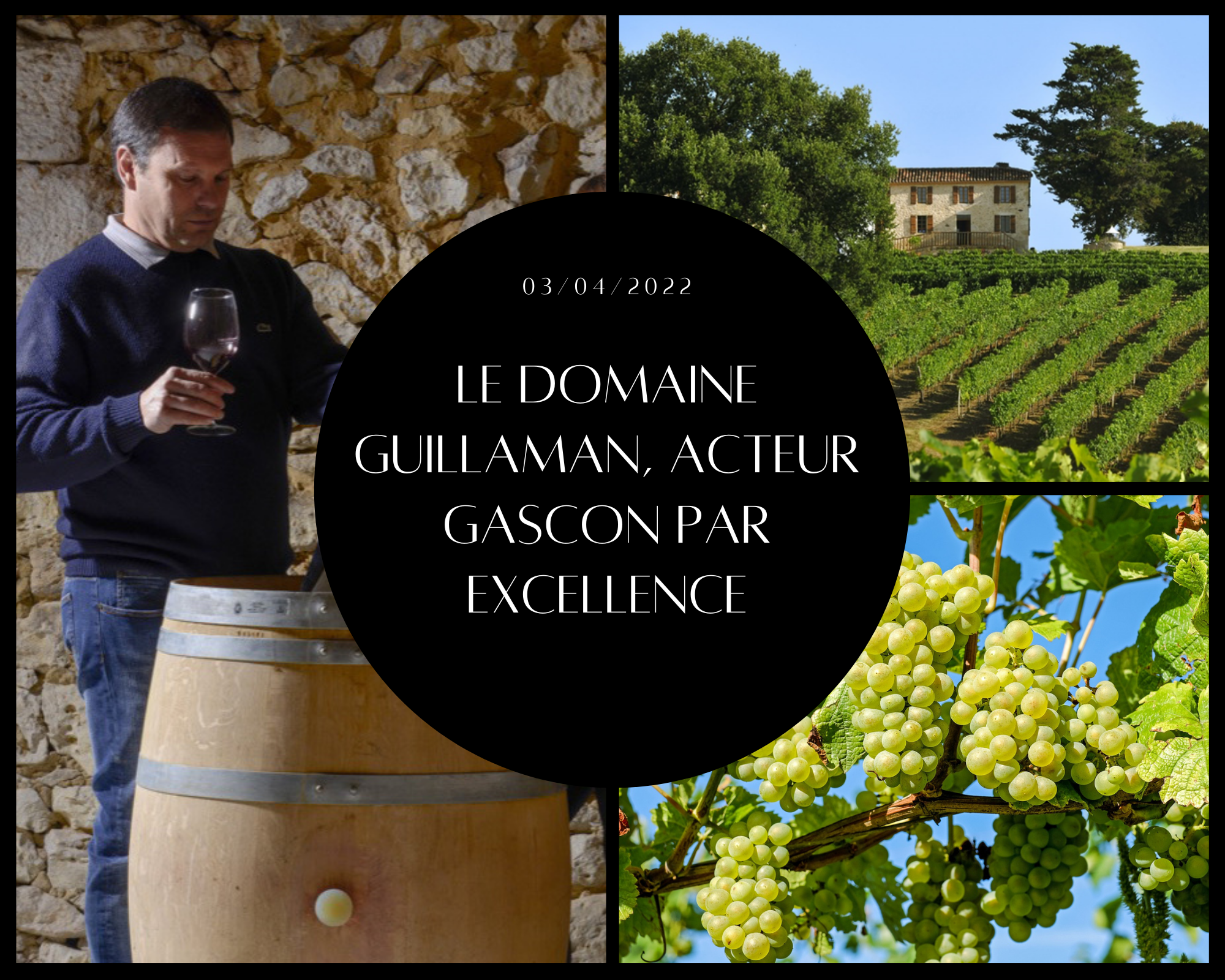 Le Domaine Guillaman, acteur gascon par excellence
