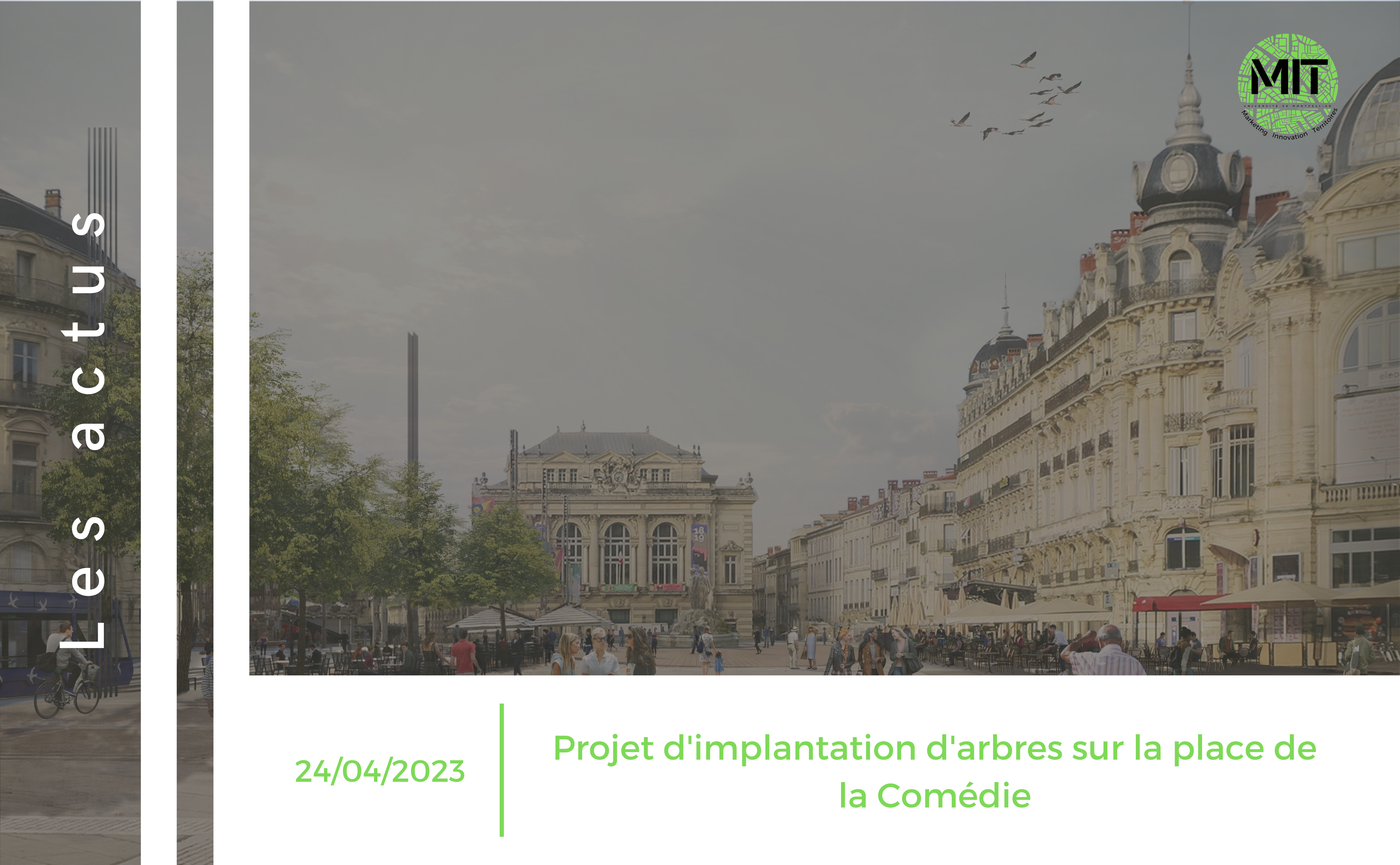Projet d’implantation d’arbres sur la Comédie