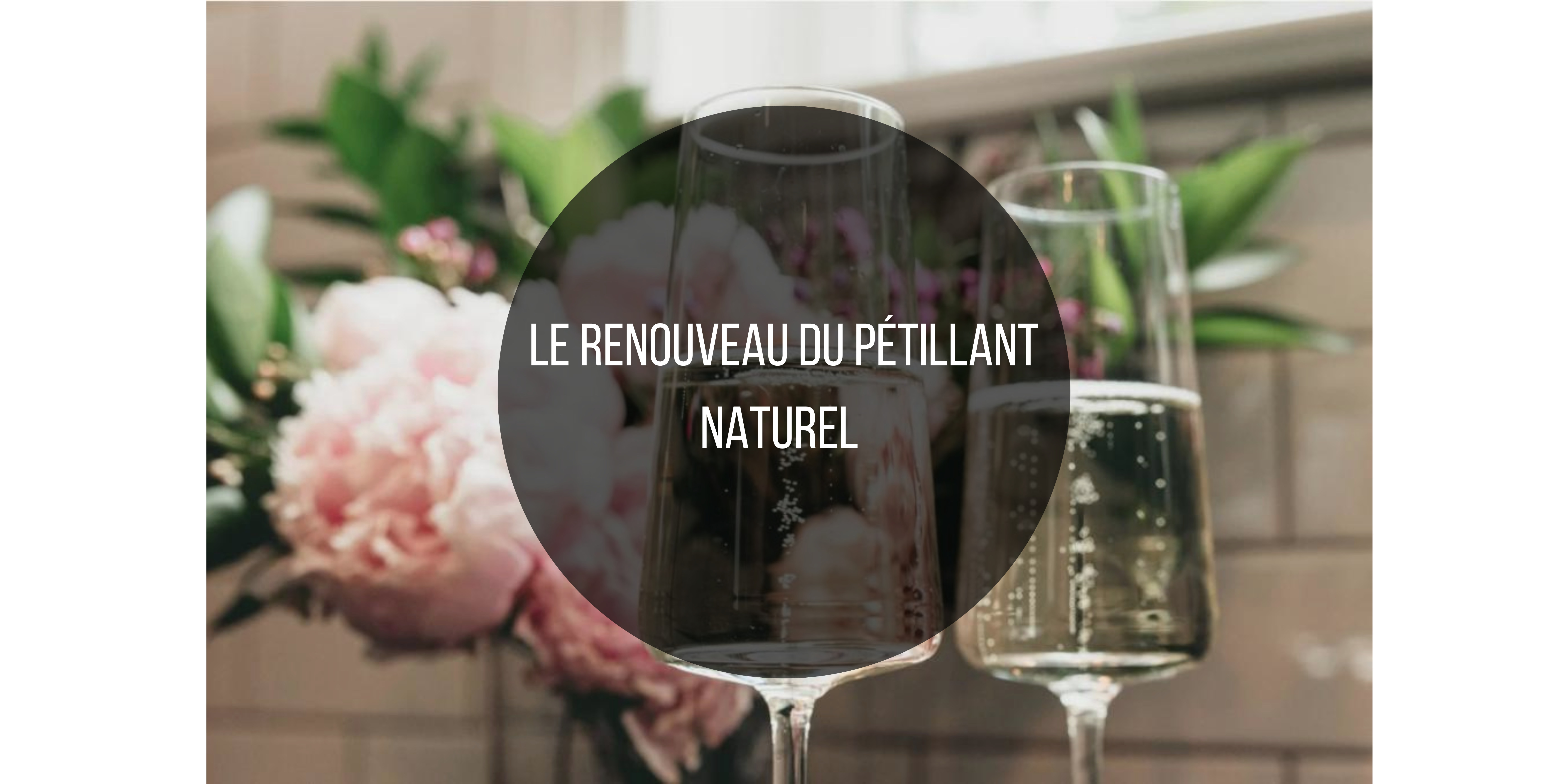 Le Renouveau du Pétillant Naturel : Une Aventure Effervescente dans le Monde du Vin