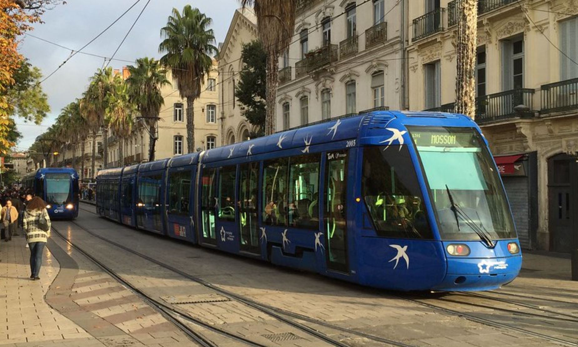 Découvrez les Trésors Touristiques Autour de Montpellier : Les Incontournables à Explorer