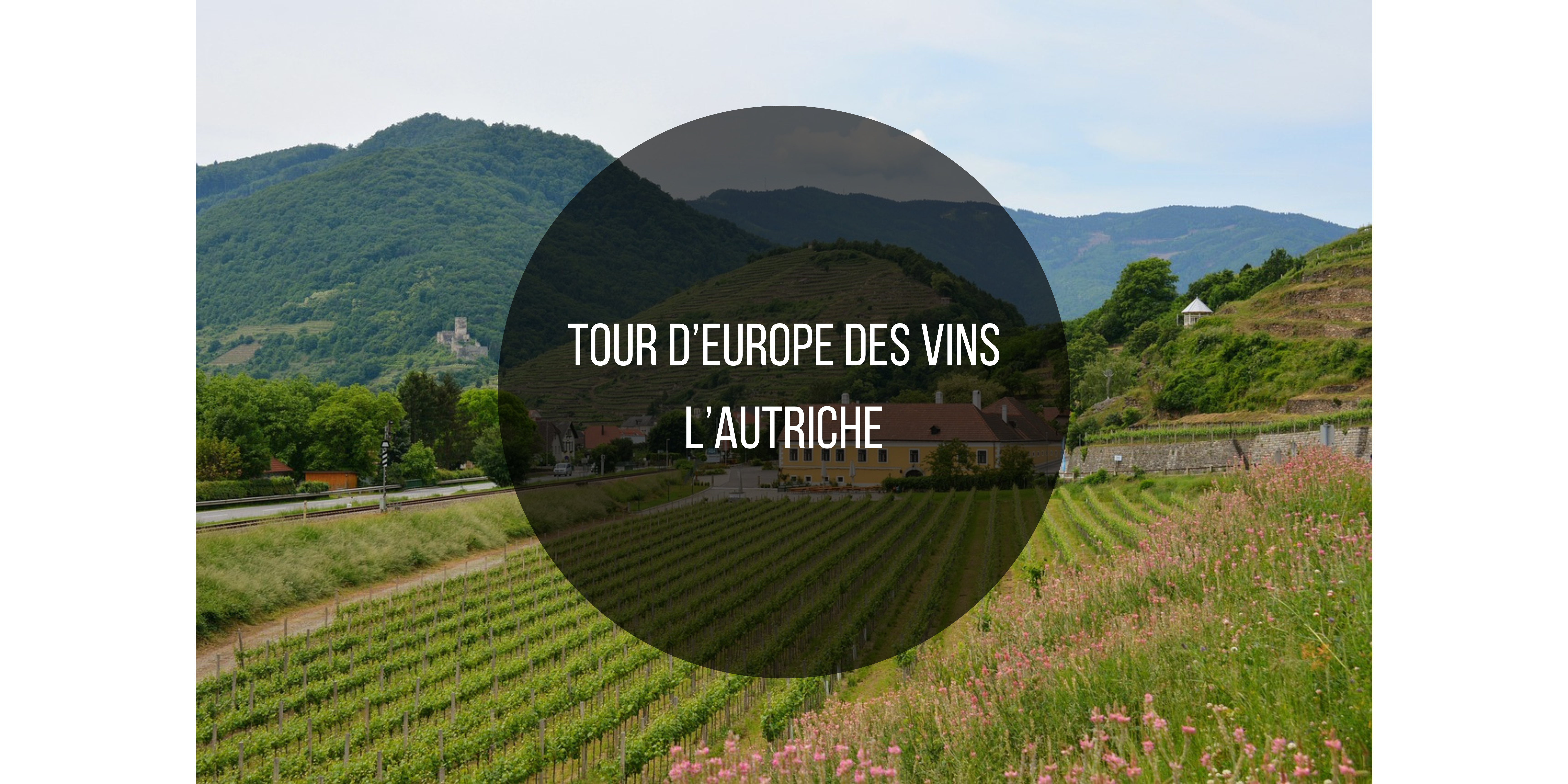 Tour d’Europe des Vins: l’Autriche