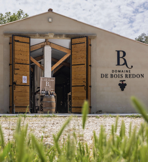 Immersion au Cœur des Alpilles : mon quotidien d&rsquo;alternante au Domaine de Bois Redon