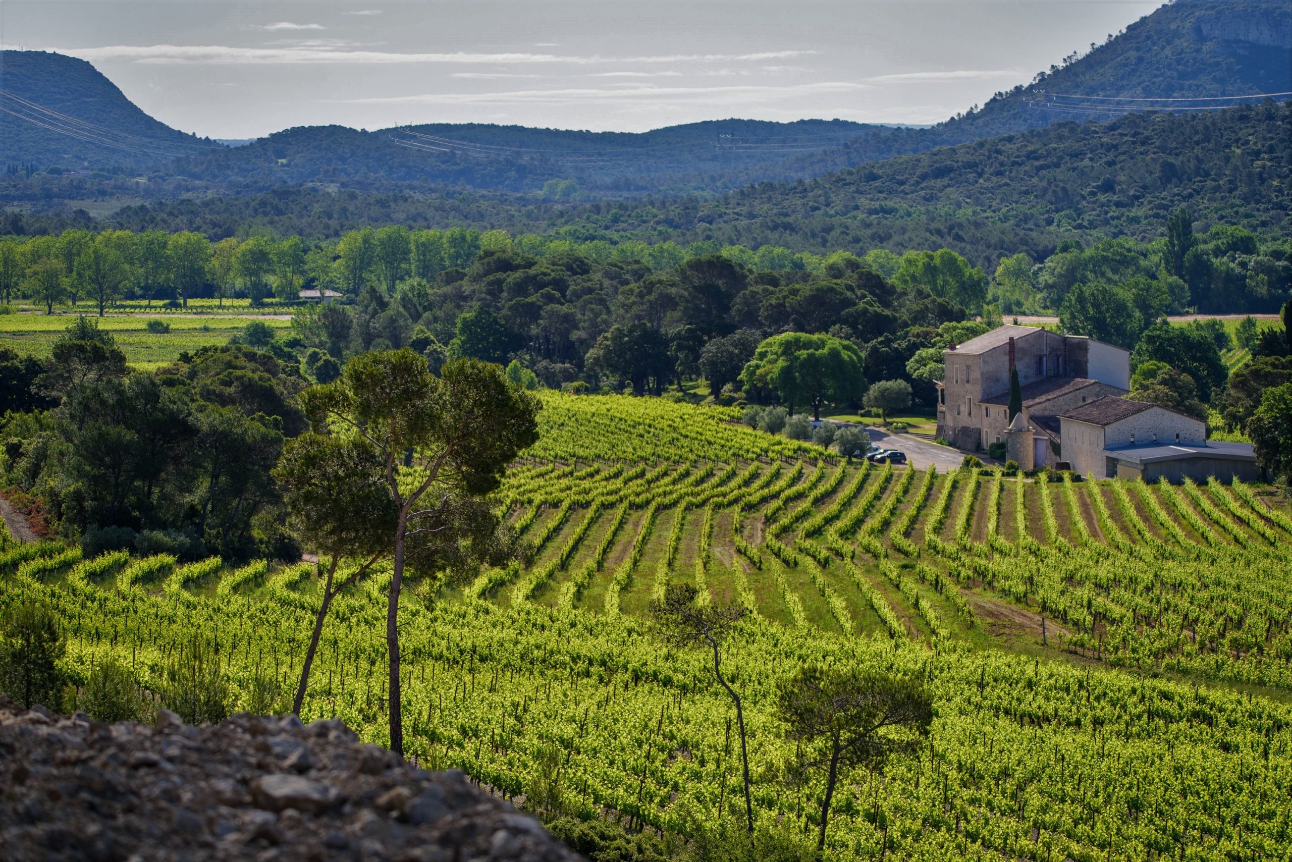 À la découverte du Château La Roque dans le Pic Saint‑Loup
