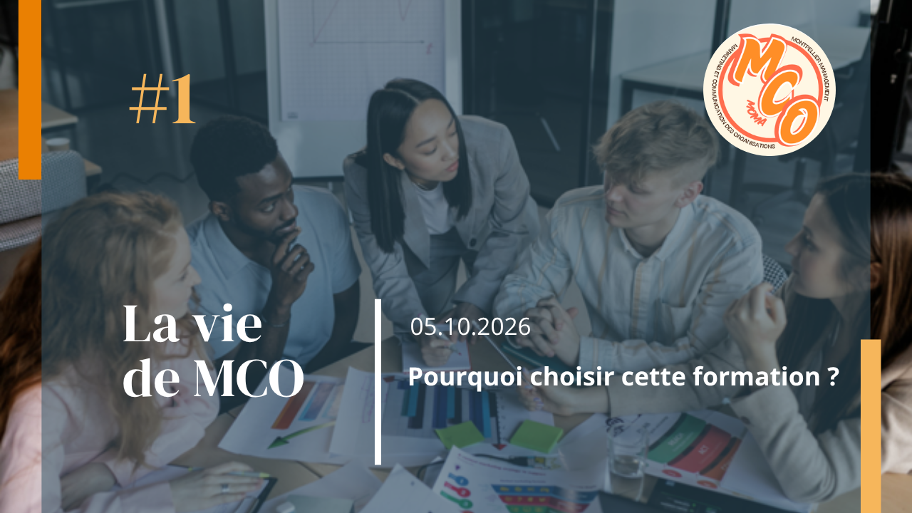 Master Marketing et Communication des Organisations à Montpellier : Pourquoi choisir cette formation ?