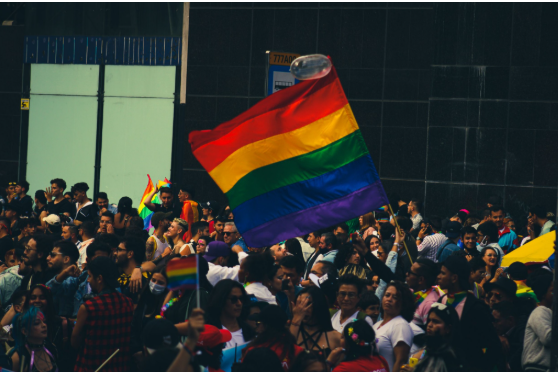 Louis-Georges Tin, figure forte contre l&rsquo;homophobie